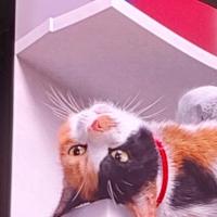 Avatar of mael191110