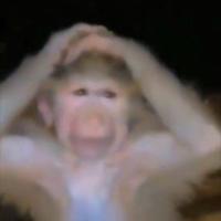 Avatar of Ishan Dutta