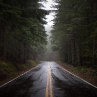 Magnetive_waves's avatar