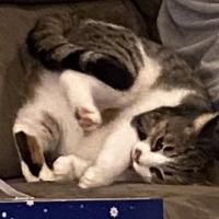 Avatar of Mischief Bright ツ