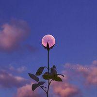 Avatar of MagnussChesssss