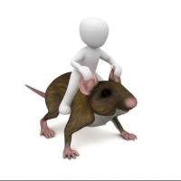 Avatar of MaitreGrims85