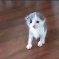 Avatar of Makkelijkscoren