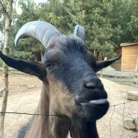 Avatar of Maksymilian Gosk