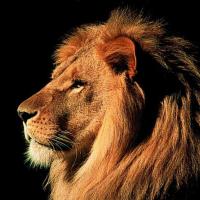 Avatar of Krystian Rajda