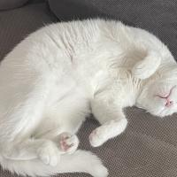 Avatar of mali640528