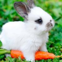 Avatar of Mallaury Guegan