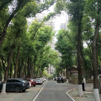 Avatar of Jonathan Wu