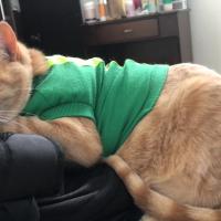 Manuela Hernández Bermúdez's avatar