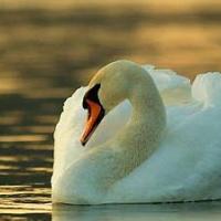 Avatar of Maratonkata