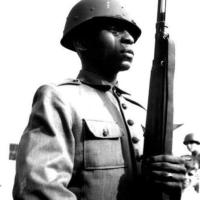 Avatar of Marco Antonelli