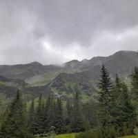 Avatar of Marian Jasik