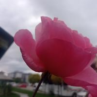 Avatar of Marufbey03