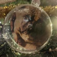 Avatar of Mat Yotamos