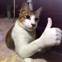 Avatar of Martin Demčák