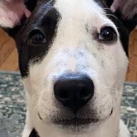 Avatar of MattChess41