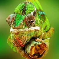 Avatar of The guy who got hit in the head with a can of soda was lucky it was a soft drink.