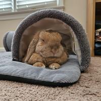 Avatar of MaximChess64