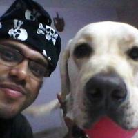 Avatar of Mayank S.P.