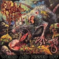 Avatar of adam mckenna