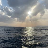 Avatar of mcsimusprime