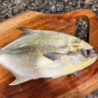 Lyubomir Gospodinov's avatar