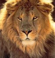 Avatar of Ludy De Sousa