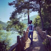 Avatar of Mesut Bayram