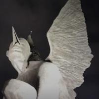 Avatar of MiguelGh2023