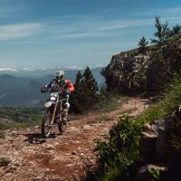 Avatar of Michal Školník