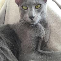 Linda Krumina's avatar