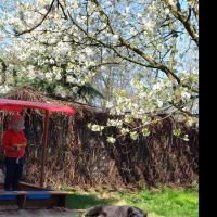 Avatar of MrStuqpuk P