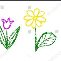 Avatar of MiroslavPanayotov