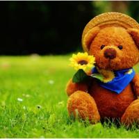 Roman Tomaszewski's avatar