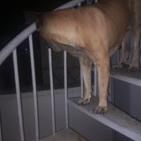 Avatar of Timothy Nwagwu