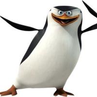 Masa Maksimovic's avatar