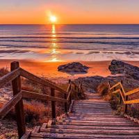 Avatar of Muhamed shoiehnah