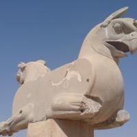 Avatar of mojtaba2929