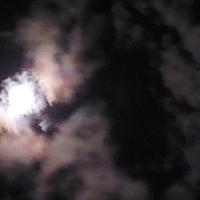 Avatar of Tyrone Moke