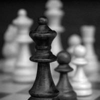 Avatar of molnar8david