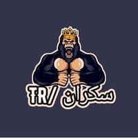 Avatar of Momen Skran