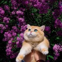 Thi Minh Oanh Nguyen's avatar