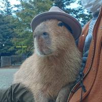 Avatar of Mon-Malice