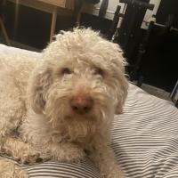 Avatar of monfrereee