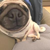 Avatar of Monkee_Timee