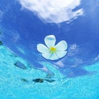 Avatar of MonsieurNeuvillette1812