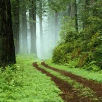 Roberto Montanez's avatar