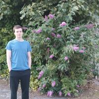 Avatar of Dmitriy Kushko