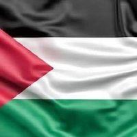 Avatar of mouadelwahab