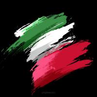 Avatar of Seyed Hamed Mousavian